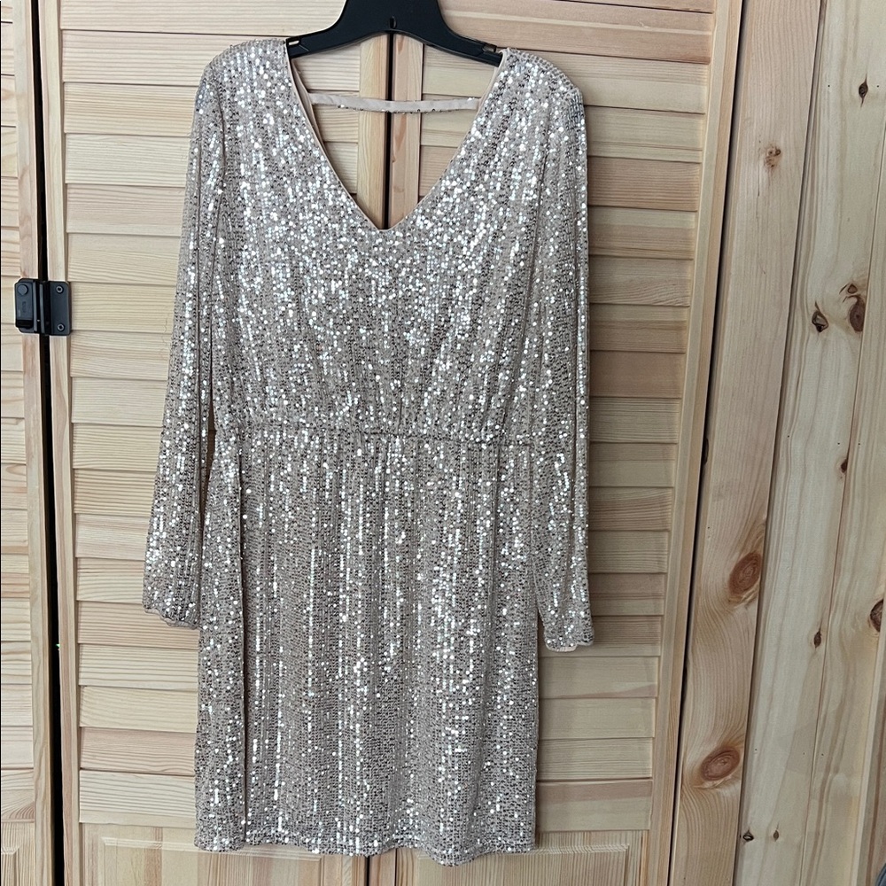 NWT Gold Sequin V Neck Dress